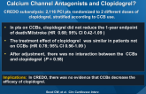Is There a Clinically Significant Interaction Between Calcium Channel Antagonists and Clopidogrel?