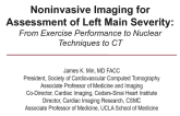 Noninvasive Imaging for Assessment of Left Main Severity: From Exercise Performance to Nuclear Techniques to CT and MRI
