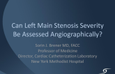 Can Left Main Severity Be Assessed Angiographically?