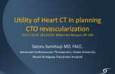 Utility of MSCT in Planning CTO Revascularization