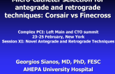 Microcatheter Selection for Antegrade and Retrograde Techniques: Corsair vs. Finecross