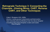 Retrograde Technique 3: Connecting the Channels - Kissing Wires, CART, Reverse CART, and Other Techniques (with Case Examples)