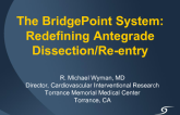 The Bridgepoint System