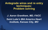 Antegrade Wires and Reentry Techniques: Problem Solving
