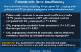 EVAR with Carbon Dioxide-Guided Angiography in Patients with Renal Insufficiency