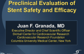 Preclinical Evaluation of Stent Safety and Efficacy
