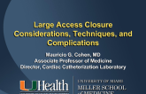 Large Access Closure Considerations, Techniques, and Complications