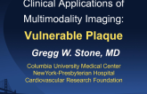 Clinical Application of Multimodality Imaging: Vulnerable Plaque