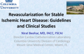 Revascularization for Stable Ischemic Heart Disease: Guidelines and Clinical Studies