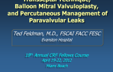 Transseptal Technique, Mitral Balloon Valvuloplasty, and Percutaneous Management of Paravalvular Leaks
