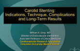 Carotid Stenting: Indications, Technique, Complications, and Long-term Results