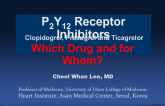 P2Y12 Receptor Inhibitors: Which Drug and for Whom?
