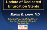 Update of Dedicated Bifurcation Stents