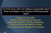 ACTIVE Study with CoCr Balloon Expandable Stent What advantages over Standard Self-Expandable Stent?