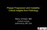 Plaque Progression and Instability: Critical Insights from Pathology