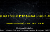 Tips and Tricks of IVUS Guided Reverse CART