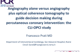 Angiography alone versus angiography plus optical coherence tomography to guide decision making during percutaneous coronary intervention: the CLI-OPCI study