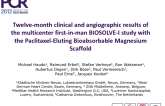 Twelve-month clinical and angiographic results of the multicenter first-in-man BIOSOLVE-I study with the Paclitaxel-Eluting Bioabsorbable Magnesium Scaffold