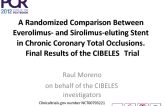 A Randomized Comparison Between Everolimus- and Sirolimus-eluting Stent in Chronic Coronary Total Occlusions: Final Results of the CIBELES Trial