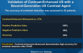Evaluation of AAA After EVAR: Prospective Validation of Contrast-Enhanced US with a Second-Generation US Contrast Agent