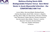 Biolimus-Eluting Stents With Biodegradable Polymer Versus Bare Metal Stents in Acute Myocardial Infarction: the COMFORTABLE AMI Trial