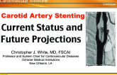 Carotid Artery Stenting: Current Status and Future Projections