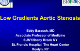 Low Gradients Aortic Stenosis