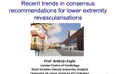 Recent trends in consensus recommendations for lower extremity revascularisations