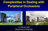 Complexities in Dealing with Peripheral Occlusions