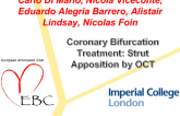 Coronary Bifurcation Treatment: Strut Apposition by OCT