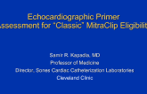 Echocardiographic Primer: Assessments for "Classic" MitraClip Eligibility