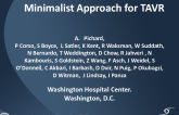 A "Minimalist" Approach Is Fine: Echo and Surgery "As Needed" and Usually Monitored Anesthesia Control (ie, Conscious Sedation)