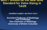 MSCT Should Be the 'Gold Standard' for Valve Sizing Strategies