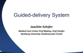 Direct Annuloplasty in Evolution 2: Guided Delivery Systems