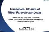 Apical Closure of Mitral Leaks