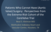 Perspectives from the "Extreme Risk" Cohort of the US CoreValve Study