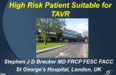 EU Perspective on Defining the High-Risk Patient Suitable for TAVR