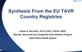 Synthesis from the EU TAVR Country Registries
