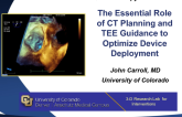 The Essential Role of CT Planning and TEE Guidance to Optimize Device Deployment