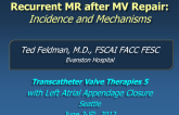 Recurrent Mitral Regurgitation (MR) After MV Repair: Incidence and Mechanisms