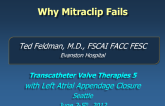 Frequency and Reasons for Acute Procedural MitraClip Failure