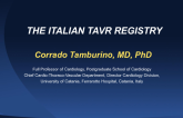 The Italian TAVR Registry