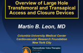 Overview of Large Hole Transfemoral and Transapical Access-Closure Devices