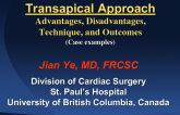 The Transapical Approach: Advantages, Disadvantages, Technique, and Outcomes (Case Examples)