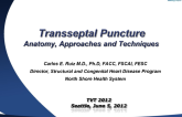Anatomic Considerations for Transseptal Puncture: Basic Approach and Technique