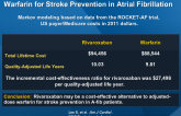 Cost-effectiveness of Rivaroxaban Compared to Warfarin for Stroke Prevention in Atrial Fibrillation