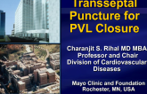 Targeted Transseptal with TEE: For PVL