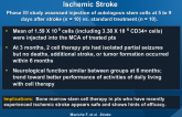 Intra-arterial Bone Marrow Mononuclear Cells in Ischemic Stroke