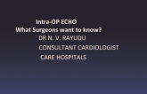 Intra-OP ECHO: What Surgeons Want to Know?
