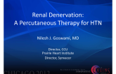 Renal Denervation: A Percutaneous Therapy for HTN